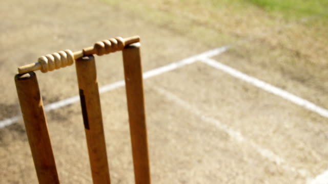 The Impact of IPL on Cricket Sports Sponsorship Ethics