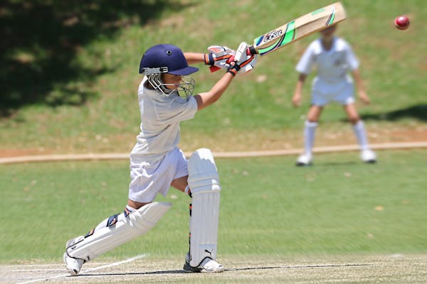 Exploring the Market Trends in Cricket Equipment Manufacturing and Sales