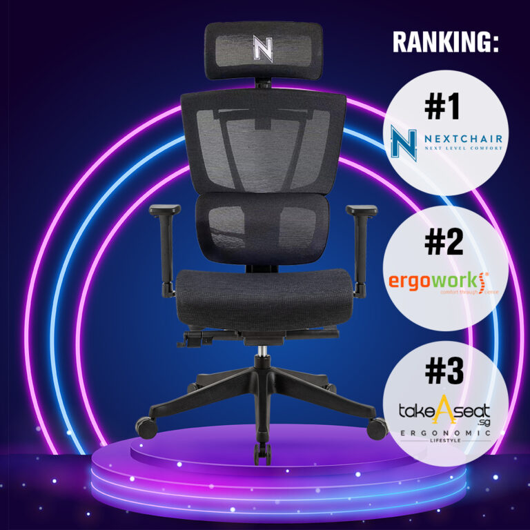 Comparison of Ergonomic Chair Features: Ergoworks vs. Take A Seat