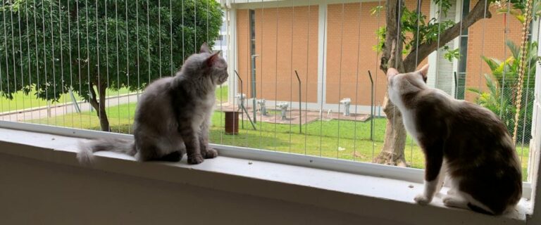 Enhancing Home Safety: The Evolution of Invisible Grilles for Cats